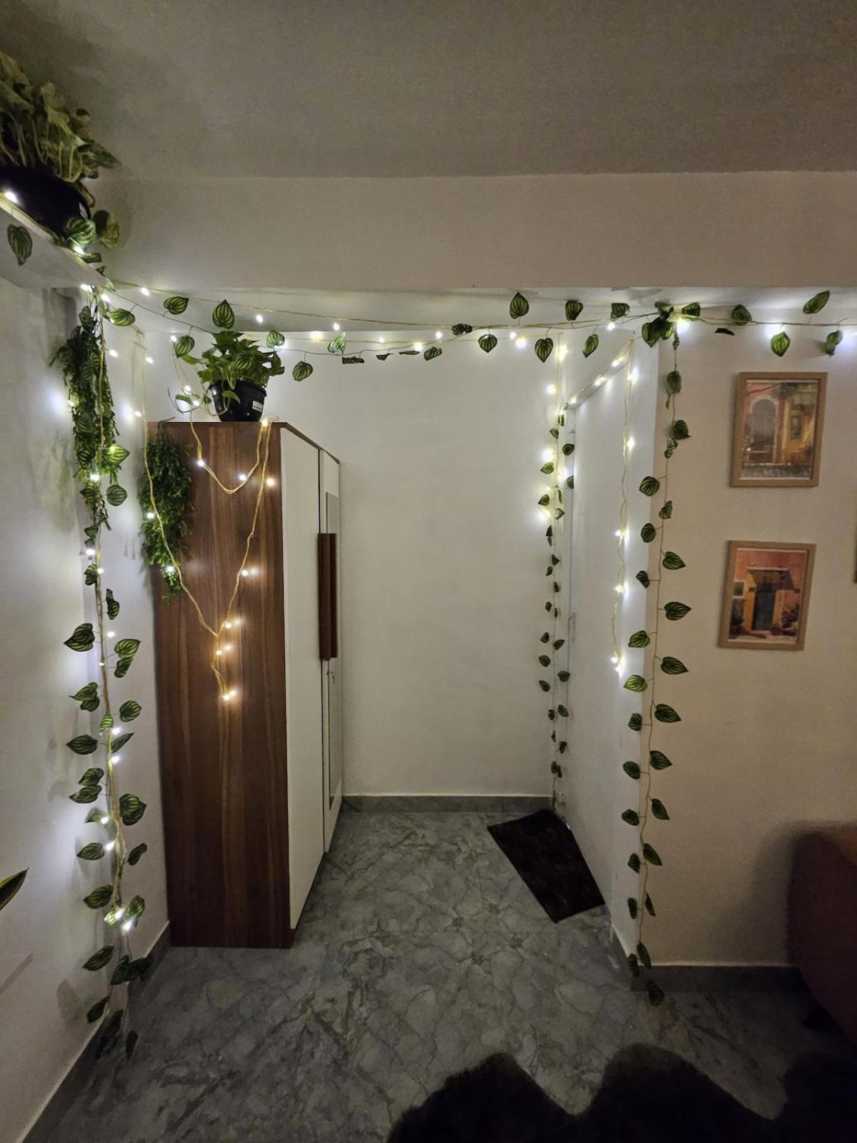 The Pali Nest A Peaceful Retreat In Pali, Bandra Apartment Mumbai